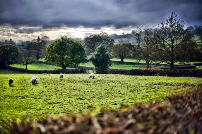 landscape photo of grass field under cloudy sky